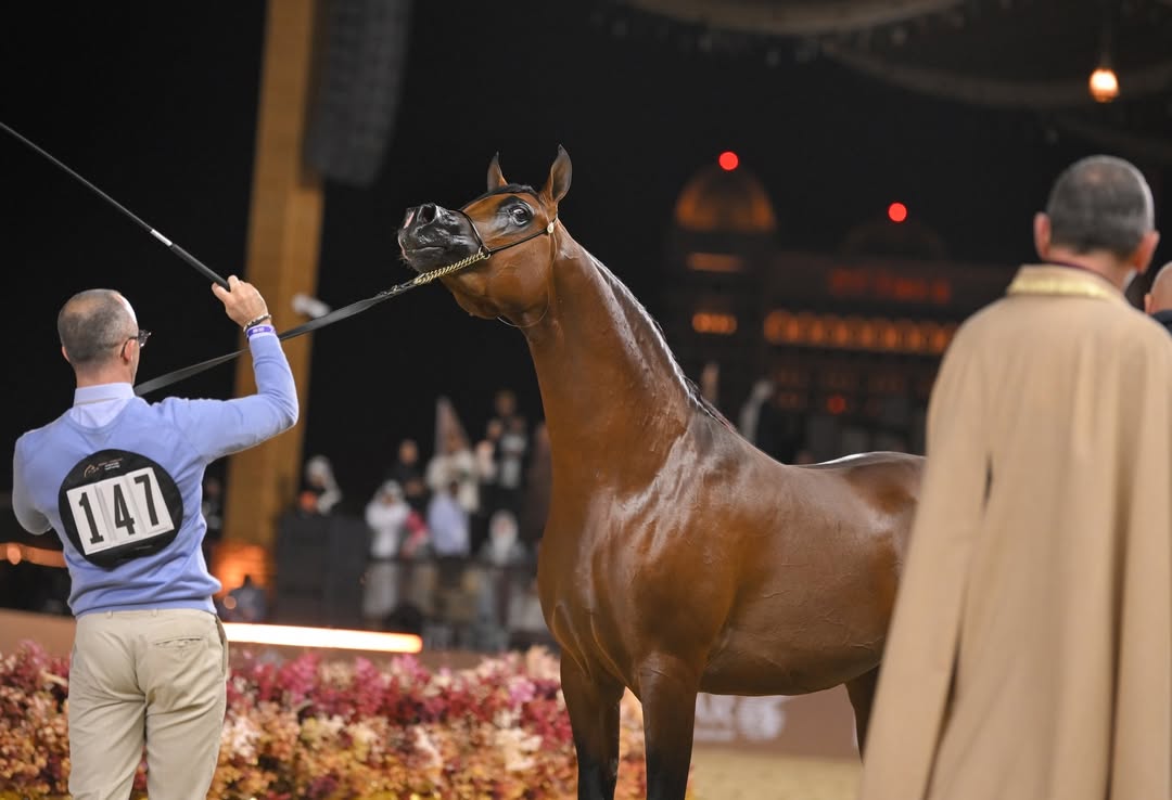 بوابة الخيل  