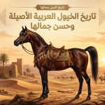 بوابة الخيل  A glossy brown Arabian horse with an ornate saddle stands on a rocky desert foreground, with palm trees, ancient ruins, and a caravan at sunset; Arabic title about the history and beauty of purebred Arabian horses.