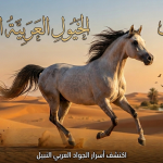 بوابة الخيل  A white Arabian horse galloping across golden desert dunes with palm trees and birds in the background; Arabic script runs across the top and bottom of the image. Bottom text reads: 'Discover the secrets of noble Arabian generosity.'