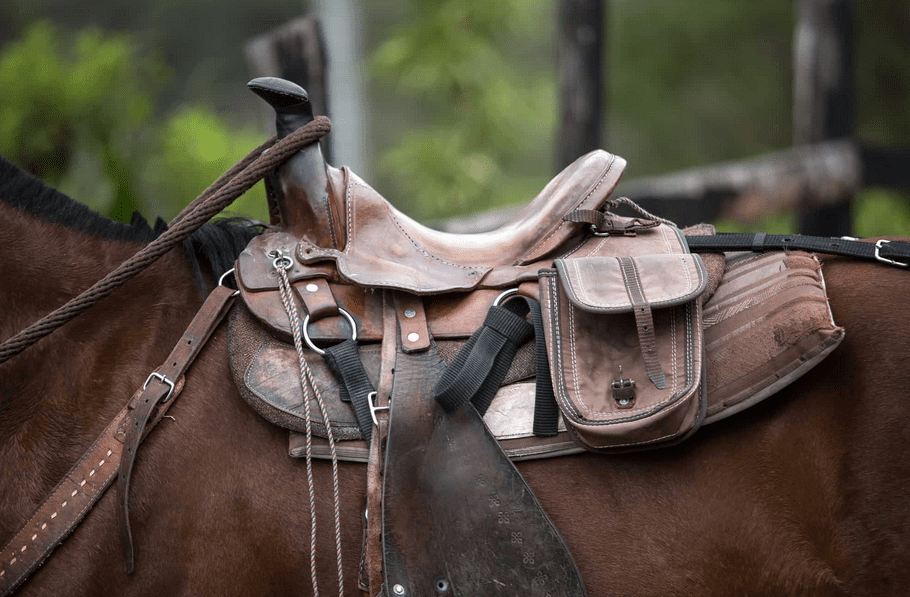 Leather riding saddle with straps and pouches fastened on a brown horse's back, close-up of tack gear and reins.