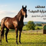 حصان بني واقف في مرج أخضر بجوار حظيرة، مع عنوان بالعربية عن حماية الحصان من حرارة الصيف وصحة فرائه في الجو الحارط.